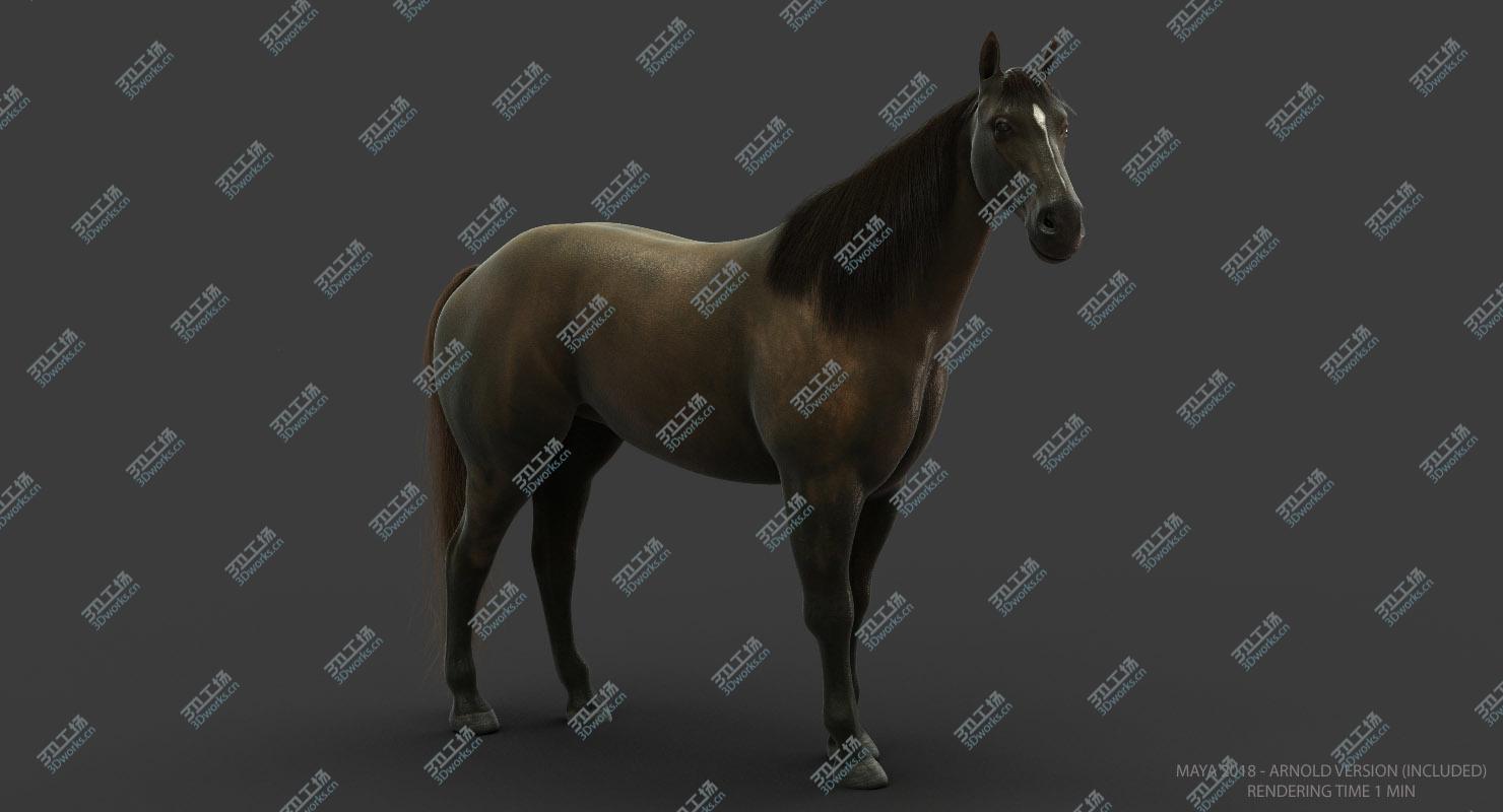 images/goods_img/2021040234/Horse (ANIMATED)/5.jpg